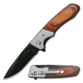 Assisted Action Open Folder Knife