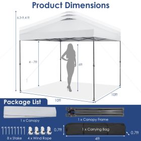 10 x 10 Instant Pop-up Canopy with Carry Bag