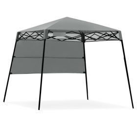 6 x 6 Canopy Tent with Carry Bag and 4 Stakes (Color: Gray)